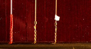 SDIM0162_crop Kopie.jpg