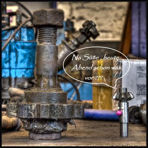 Der Schwein-7515-2.jpg Der Schwein-7515-2.jpg