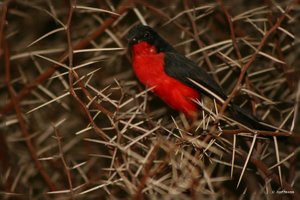 Bilderforum.de_IMG_2395.jpg Bilderforum.de_IMG_2395.jpg