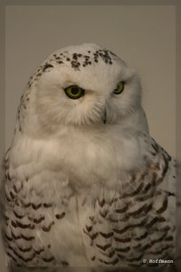 Bilderforum.de_IMG_2381.jpg Bilderforum.de_IMG_2381.jpg