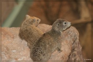 Bilderforum.de_IMG_2363.jpg Bilderforum.de_IMG_2363.jpg