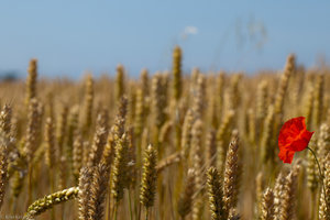 Document Name2_112.jpg