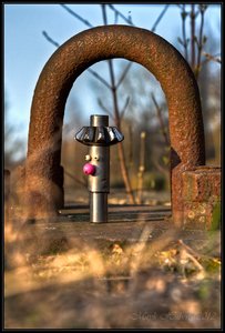 LANDI--15.jpg LANDI--15.jpg