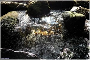 Entrauscht_1_IMG_6069_filtered.jpg Entrauscht_1_IMG_6069_filtered.jpg