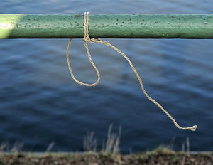 Angebunden1000.jpg Angebunden1000.jpg