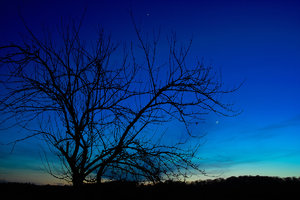 2012_03_24_1904MEZ_SD9_Chorin_Mond_Venus_Jupiter_0009_1200pix.jpg