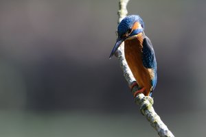 301_5387.jpg 301_5387.jpg