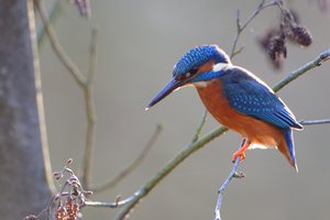 301_5422.jpg 301_5422.jpg