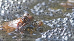 comp__RHS2790BB 03.jpg