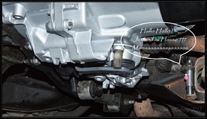 Der Schawein-7762.jpg Der Schawein-7762.jpg