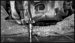 Der Schawein-.jpg Der Schawein-.jpg