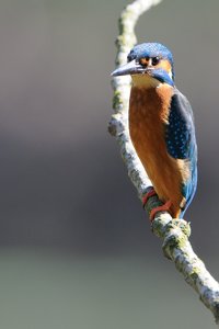 301_5386.jpg 301_5386.jpg