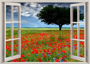 comp_Fensterbild ff JPG.jpg