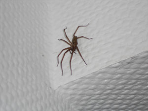 DSCN0703.JPG DSCN0703.JPG