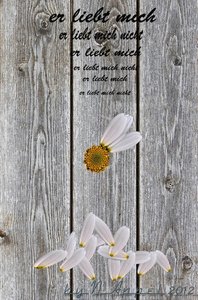 comp_er liebt mich ff.jpg