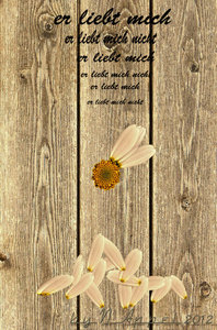 comp_er liebt mich ffa.jpg