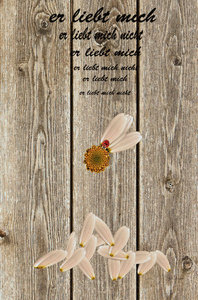 er liebt mich Kopie mit Marili20.jpg