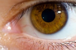 DSC_0295b_1600x1060.jpg DSC_0295b_1600x1060.jpg