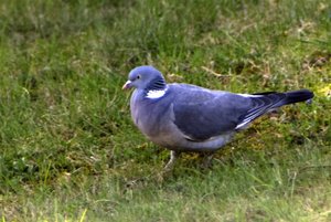 DAN_1145.jpg DAN_1145.jpg