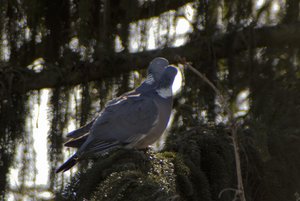 DAN_1175.jpg DAN_1175.jpg