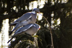 DAN_1176.jpg DAN_1176.jpg