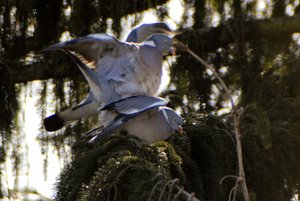 DAN_1179.jpg DAN_1179.jpg