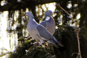 DAN_1182.jpg DAN_1182.jpg