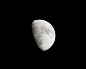 Mond D3s 1000x800.jpg
