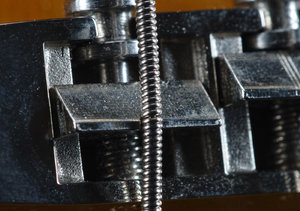 SDIM0392 crop (2).JPG