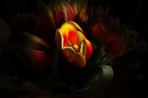 IMG_2706 - 04 - 1920.jpg