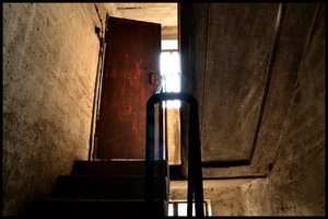 comp_1dsc1181qt.jpg comp_1dsc1181qt.jpg