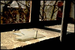 comp_4dsc1207a.jpg comp_4dsc1207a.jpg