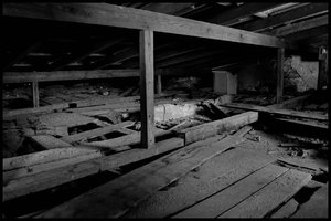 comp_5dsc1199kj.jpg comp_5dsc1199kj.jpg