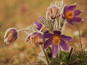 b2012-04-04 eitting 127.jpg