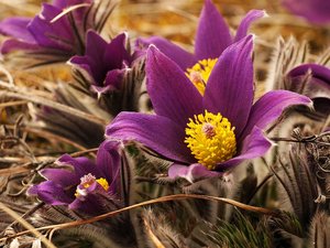 b2012-04-04 eitting 136.jpg