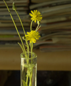 _1030350 as Smart Object-1.jpg