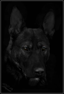 comp_Die dunkle Seite der Macht.jpg