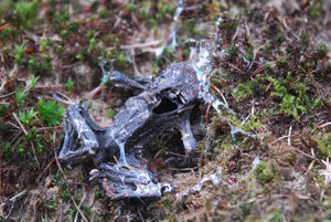 3SC_0054.jpg 3SC_0054.jpg