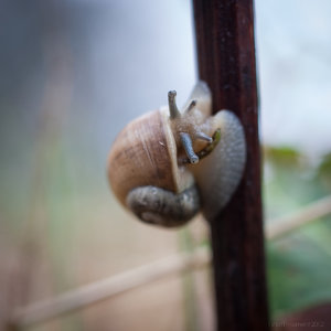 1shot1moment@bilderforum (1 von 1).jpg