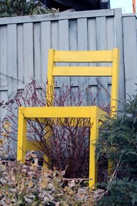 IMG_1250.jpg IMG_1250.jpg