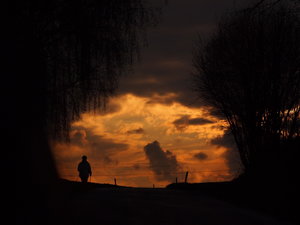 2012-04-07 Licht 026_1.JPG