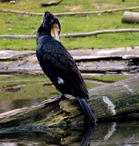 IMG_0003.JPG IMG_0003.JPG