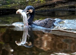 IMG_0005.JPG IMG_0005.JPG