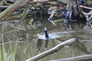 IMG_0011.JPG IMG_0011.JPG