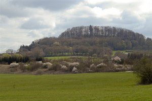 Vivi28-300-1 (4).jpg Vivi28-300-1 (4).jpg