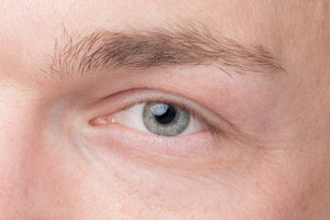 1_KU8646-2_crop.jpg 1_KU8646-2_crop.jpg