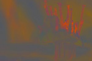 Nägelei 1 - Bearbeitet (Kopie).JPG