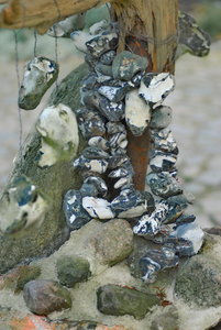 Rügen 07 --D   541_Bildgröße ändern.JPG