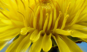 2012-04-11-14.29.25 ZS PMax_b.jpg