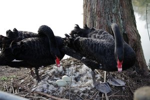 IMG_0887komp.JPG IMG_0887komp.JPG